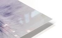 V285 HD Metal print