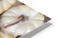 V287 HD Metal print
