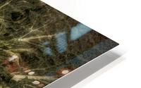 V293 HD Metal print