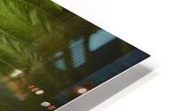 V306 HD Metal print