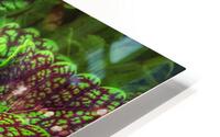 V307 HD Metal print