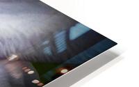 V310 HD Metal print
