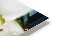 V311 HD Metal print