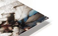 V312 HD Metal print