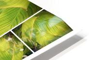 V318 HD Metal print