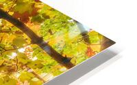V321 HD Metal print