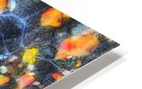 V324 HD Metal print