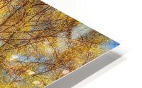 V328 HD Metal print
