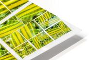 V329 HD Metal print