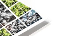 V333 HD Metal print