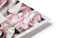 V339 HD Metal print