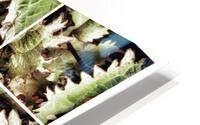 V342 HD Metal print