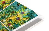 V344 HD Metal print
