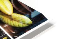 V345 HD Metal print