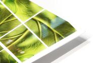 V347 HD Metal print