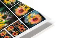 V349 HD Metal print