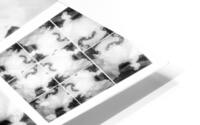 V353 HD Metal print