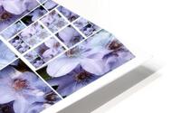V356 HD Metal print