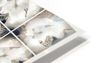 V357 HD Metal print