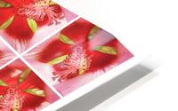 V359 HD Metal print