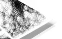 V360 HD Metal print