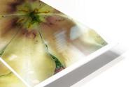 V361 HD Metal print
