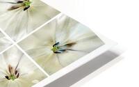 V362 HD Metal print