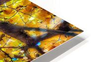 V369 HD Metal print