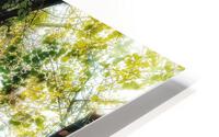 V371 HD Metal print