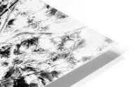 V372 HD Metal print