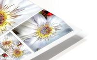 V376 HD Metal print