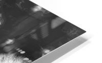 V380 HD Metal print