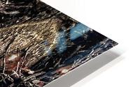 V388 HD Metal print