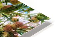V389 HD Metal print