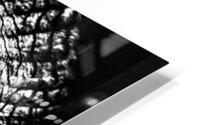 V391 HD Metal print