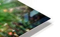 V392 HD Metal print