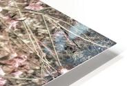 V396 HD Metal print