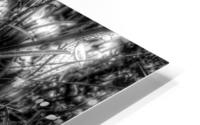 V397 HD Metal print