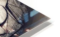 V413 HD Metal print