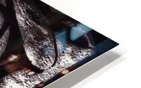 V431 HD Metal print