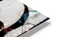 V432 HD Metal print
