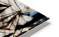 V433 HD Metal print