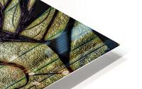 V441 HD Metal print