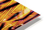V443 HD Metal print