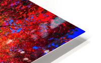 V446 HD Metal print