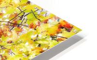 V447 HD Metal print