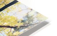 V453 HD Metal print