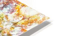 V455 HD Metal print