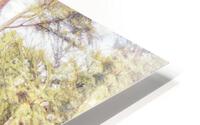 V456 HD Metal print