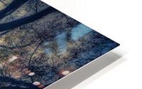 V458 HD Metal print